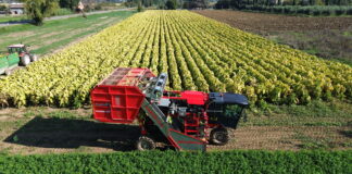 Technological Evolution in the VFC Tobacco Sector: Towards Integral and Conscious Mechanization