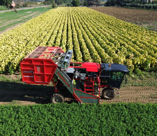 Technological Evolution in the VFC Tobacco Sector: Towards Integral and Conscious Mechanization