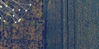 Deep Science Ventures and Renaissance Philanthropy Unveil Ways to Scale Prime Resilience Technologies in Global Agriculture