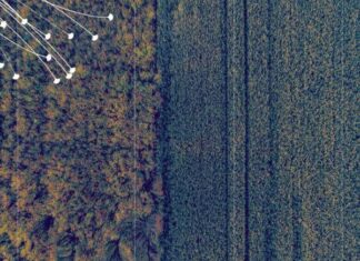 Deep Science Ventures and Renaissance Philanthropy Unveil Ways to Scale Prime Resilience Technologies in Global Agriculture