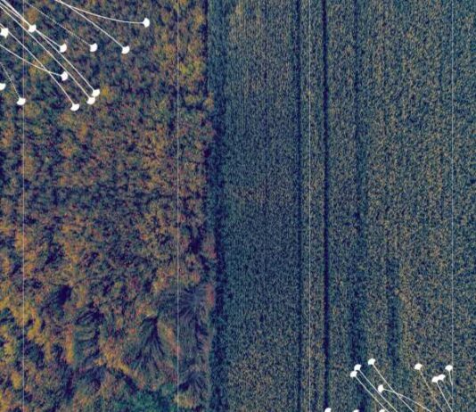 Deep Science Ventures and Renaissance Philanthropy Unveil Ways to Scale Prime Resilience Technologies in Global Agriculture