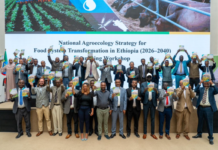 Ethiopia unveils 15-year agroecology strategy to transform food systems