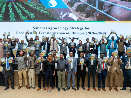 Ethiopia unveils 15-year agroecology strategy to transform food systems