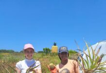 Leaflines, based in Bathurst, transforms pineapple leaves into reusable sanitary products