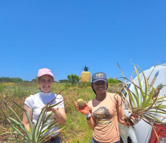 Leaflines, based in Bathurst, transforms pineapple leaves into reusable sanitary products