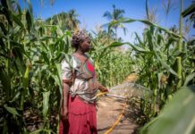 Empowering women is Africa’s smartest move for water security