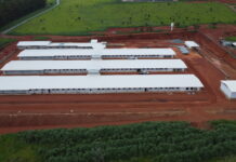 “Hubbard injects R$60 million to boost Brazil production.”