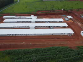 “Hubbard injects R$60 million to boost Brazil production.”