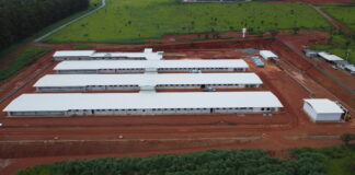 “Hubbard injects R$60 million to boost Brazil production.”