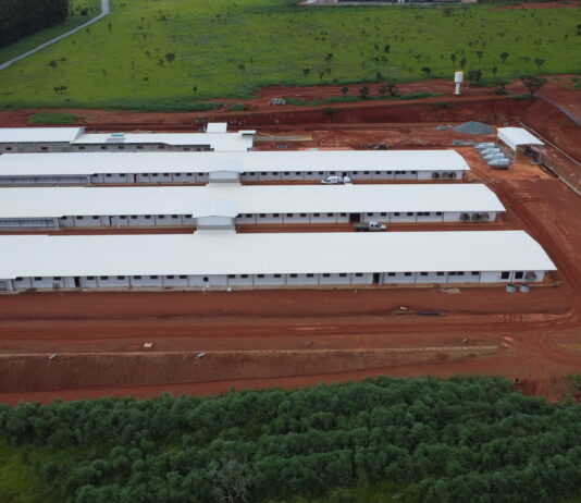 “Hubbard injects R$60 million to boost Brazil production.”