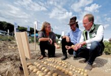 Ventilation systems for potato storage will be featured at PotatoEurope 2026.