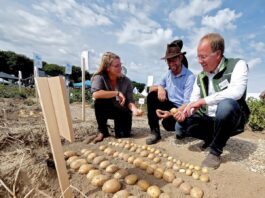 Ventilation systems for potato storage will be featured at PotatoEurope 2026.