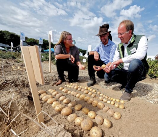 Ventilation systems for potato storage will be featured at PotatoEurope 2026.