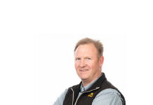 From ‘vermin’ to safari tourism star: African wild dogs’ remarkable comeback