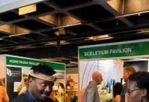 Standard Bank Business & Commercial headlines Cape Town’s Organic & Natural Products Expo, linking organic brands to top retail and hospitality buyers