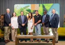 South Africa grain producers’ confidence drops amid rising costs and low prices – Survey