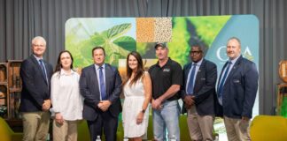 South Africa grain producers’ confidence drops amid rising costs and low prices – Survey