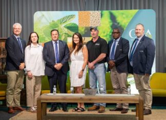 South Africa grain producers’ confidence drops amid rising costs and low prices – Survey