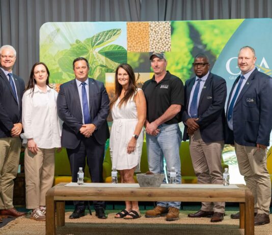 South Africa grain producers’ confidence drops amid rising costs and low prices – Survey