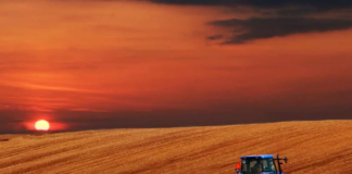 AgriSA, Agbiz urge urgent fuel pricing adjustment amid rural supply constraints