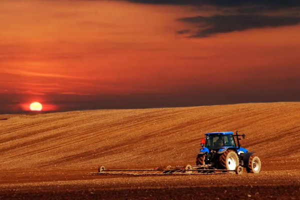 image-600x400 - 2026-03-30T175651.376