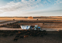 Penta Equipment extends Australian livestock feeding support by acquiring Valton Feeding Solutions.”