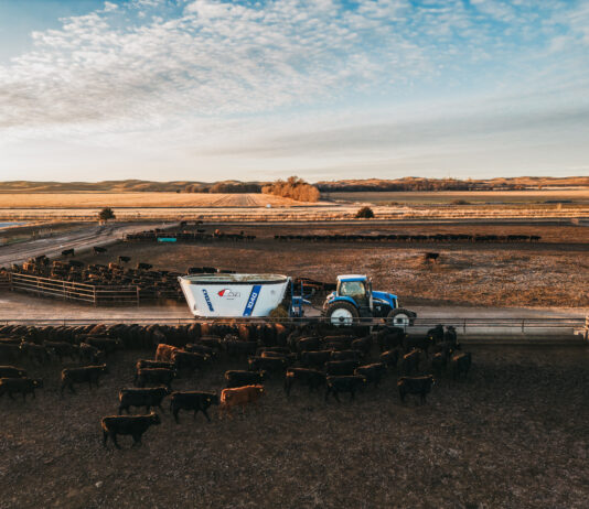 Penta Equipment extends Australian livestock feeding support by acquiring Valton Feeding Solutions.”