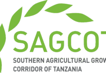 Tanzania activates three new agricultural corridors in biggest reform drive since Davos 2010