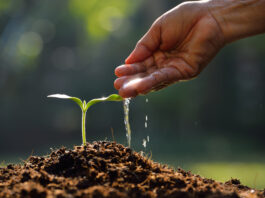 For World Water Day, biostimulants are highlighted for improving water and nutrient efficiency in farming.