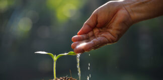 For World Water Day, biostimulants are highlighted for improving water and nutrient efficiency in farming.