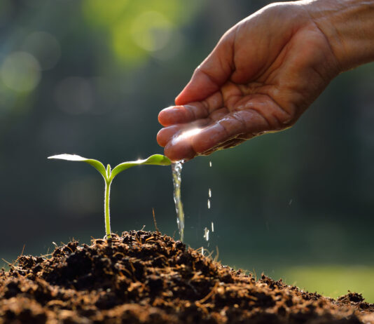 For World Water Day, biostimulants are highlighted for improving water and nutrient efficiency in farming.