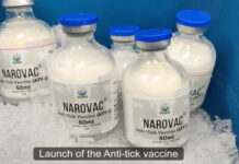 Uganda launches anti-tick vaccine plant, rolls out NAROVAC to farmers