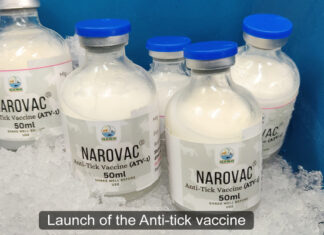 Uganda launches anti-tick vaccine plant, rolls out NAROVAC to farmers