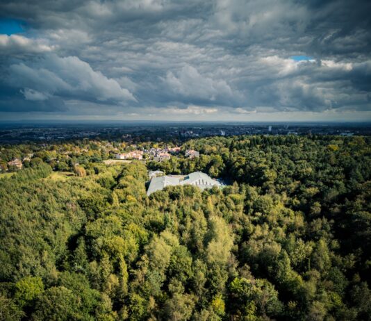 Harrogate Spring Water set to fell community woodland planted by children, contradicting Danone’s forest pledge