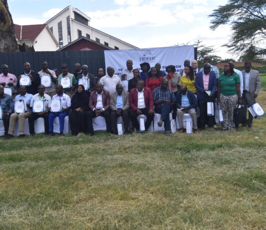 Heifer International launches project to strengthen feed and fodder systems in Kenya’s dairy