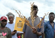 Zambian farmers present climate-resilient solutions at WASA Field Day
