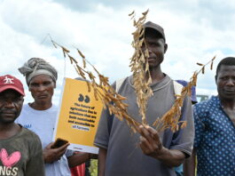 Zambian farmers present climate-resilient solutions at WASA Field Day