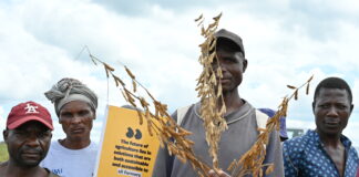 Zambian farmers present climate-resilient solutions at WASA Field Day