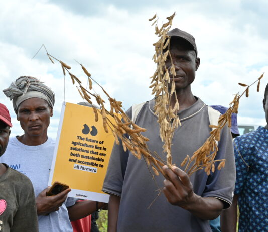 Zambian farmers present climate-resilient solutions at WASA Field Day