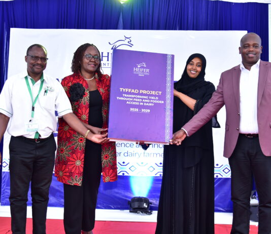 Heifer International launches project to strengthen feed and fodder systems in Kenya’s dairy