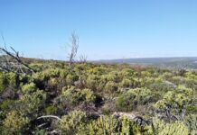 Earth Day 2026: giving everyone the power to protect the planet