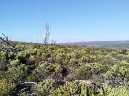 Earth Day 2026: giving everyone the power to protect the planet