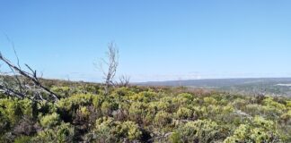 Earth Day 2026: giving everyone the power to protect the planet