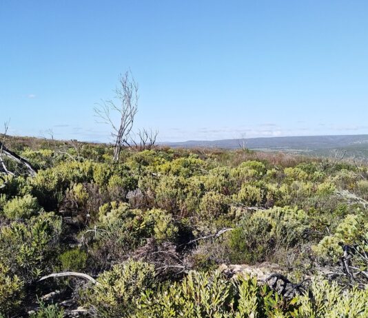 Earth Day 2026: giving everyone the power to protect the planet