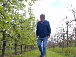 Schneider Electric partners with Technoserve MV to bring pure-air switchgear to Elgin Orchards
