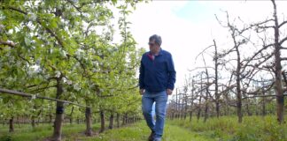 Schneider Electric partners with Technoserve MV to bring pure-air switchgear to Elgin Orchards