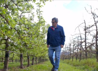 Schneider Electric partners with Technoserve MV to bring pure-air switchgear to Elgin Orchards