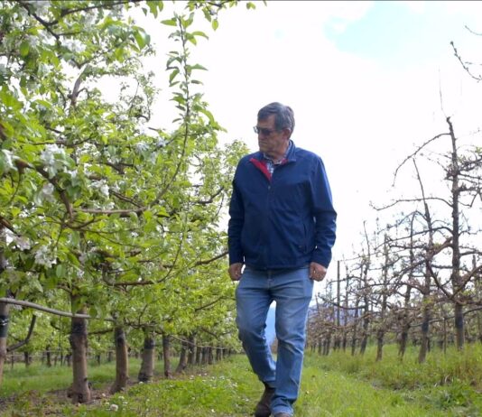 Schneider Electric partners with Technoserve MV to bring pure-air switchgear to Elgin Orchards