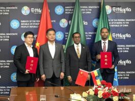 Ethiopia, Chinese firm signs deal to develop high-tech agriculture and renewable energy centre
