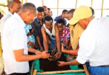 FAO backs compost training to boost local fertilizer in East Africa
